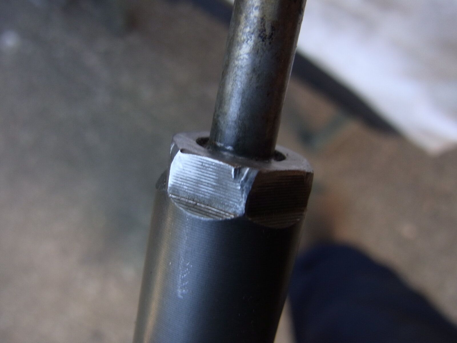 RIMG0595.JPG