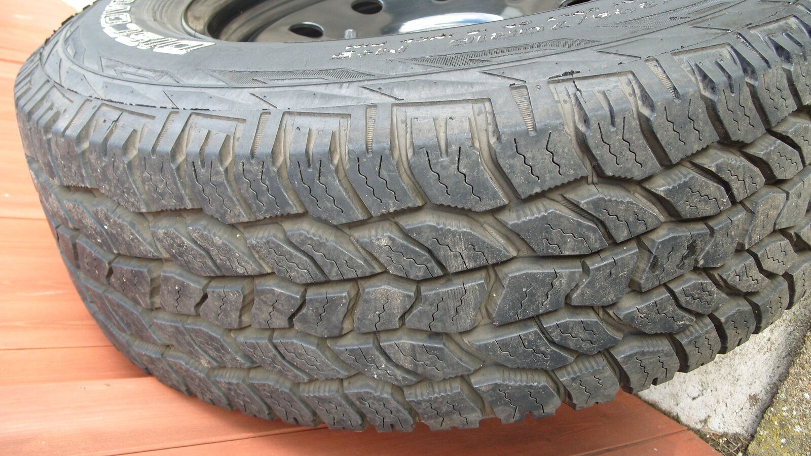 S1050839.JPG