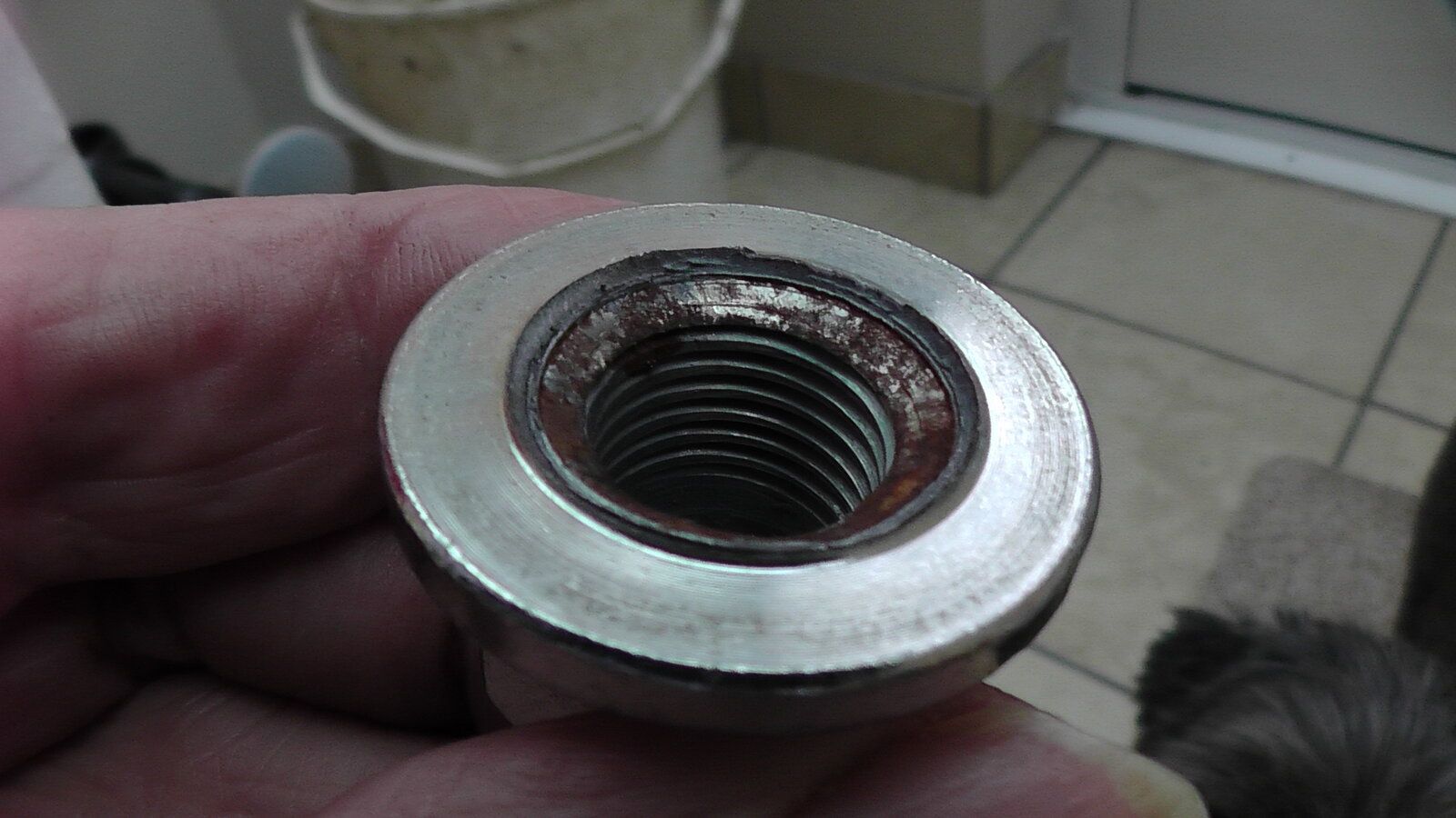 S2420003.JPG