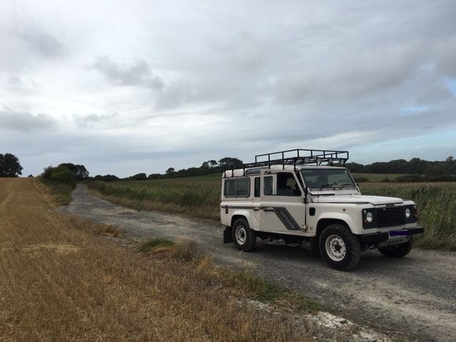 South_Downs_laning.jpg