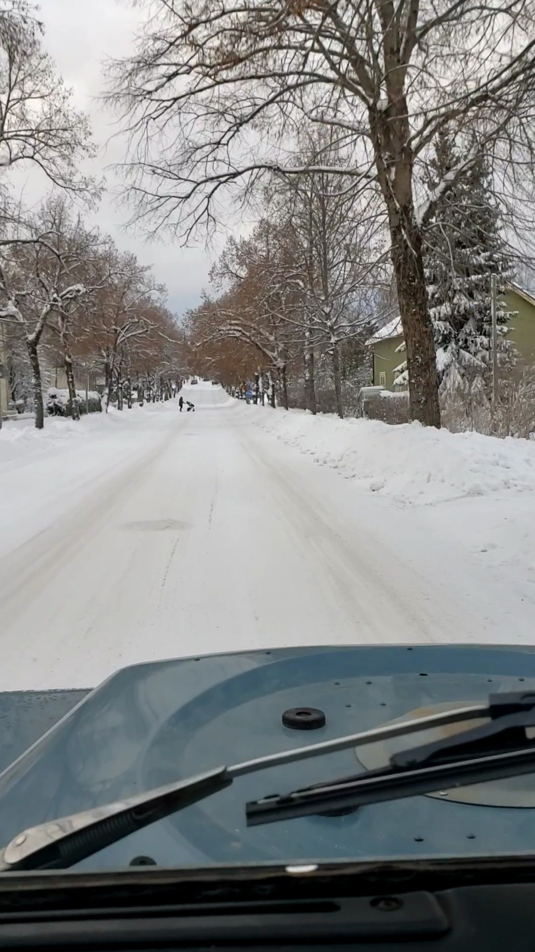 VideoCapture_20210119-125914.jpg