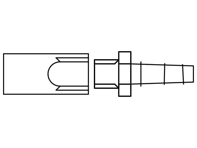 wish 1.jpg