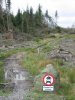 Grizedale EFA.JPG