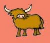 heilan-coo2.jpg