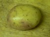 KingEdwardsPotato.jpg