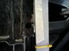 DSC00109.jpg
