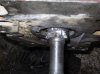 SDC11194.jpg