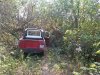 IMG00020-20100921-1034.jpg