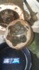 20170331_151155.jpg