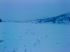 DSC00049.jpg