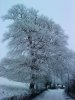 DSC00039.jpg