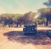 Landy 2.jpg