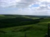 DSC00521.jpg
