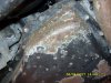 SDC10168.JPG