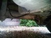 IMG00144-20100626-1450.jpg