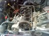 DSC00325.jpg