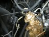 DSCN5419.jpg