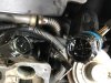 Injector harness gunk.JPG