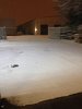 IMG_8281.JPG