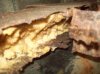 100_0109.jpg