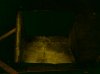 DSC00492.jpg