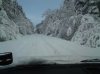 DSC00309.jpg
