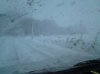 DSC00317.jpg