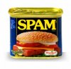 spamReg.jpg