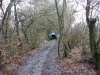 DSC00982.jpg