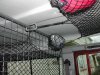 DSCN2889.JPG