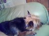 2011-02-19-204746.jpg