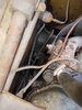 20200608_174706.jpg