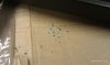 Paint flakes from when I took it out of the box.jpg