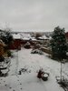 IMG_20201229_083824.jpg
