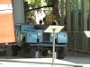 Cuba Landy.jpg