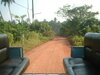 Back View .jpg