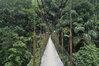 View from the bridge.JPG