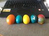 Easter eggs.jpg