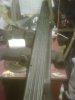 IMG00887-20120217-1708.jpg
