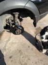 IMG_5851.jpeg