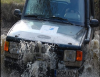 landy1.png