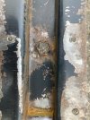IMG_6890.jpeg