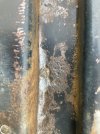 IMG_6891.jpeg