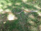20230529_092720.jpg