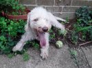 20170907_150142.jpg