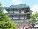 IMG_20230701_113412440.jpg