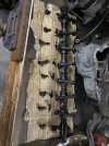 IMG_7298.jpeg