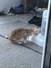 IMG_3191.jpeg