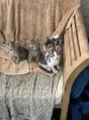 IMG_0655.jpeg