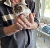 IMG_3065.jpeg
